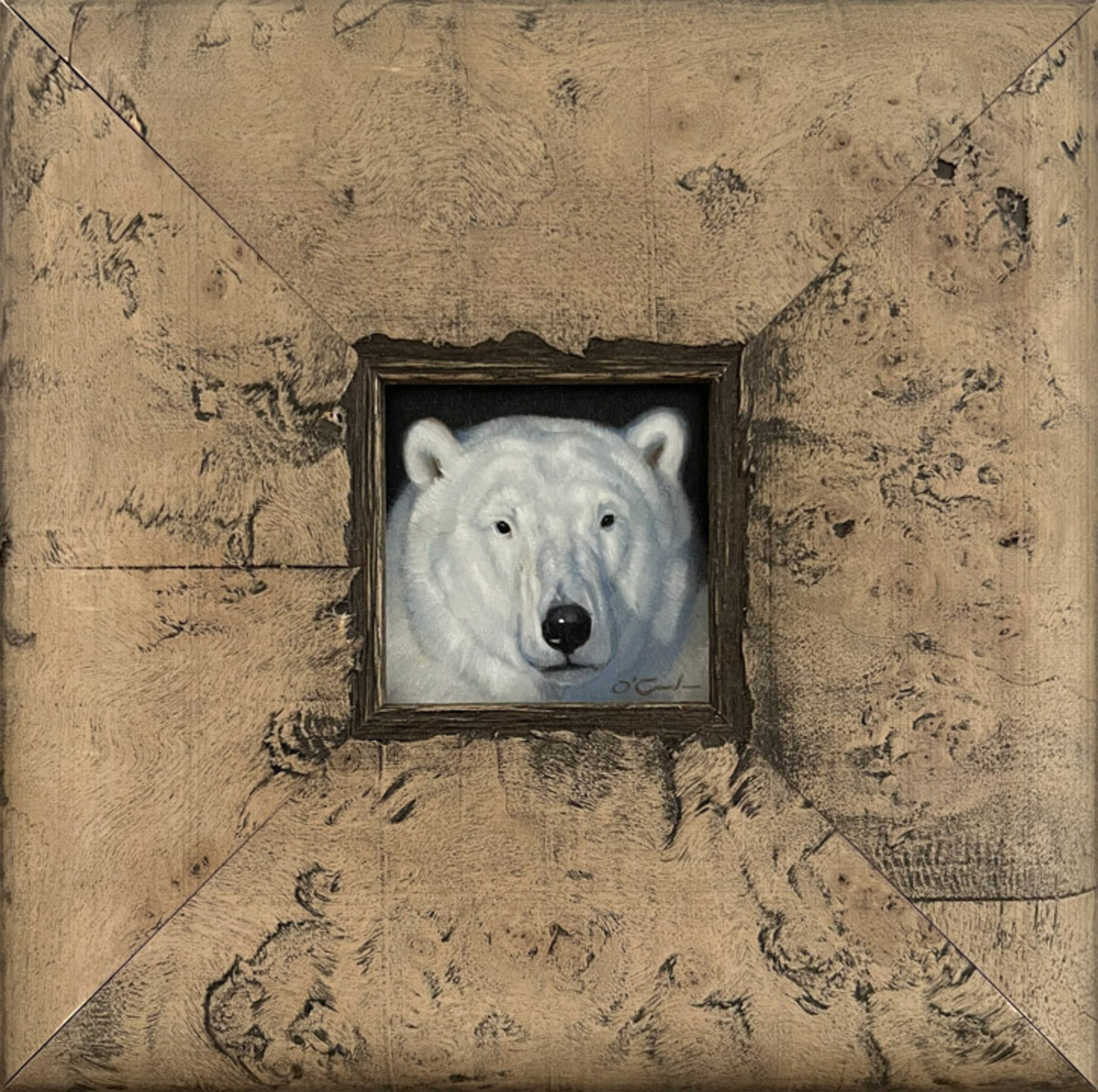 Polar Bear