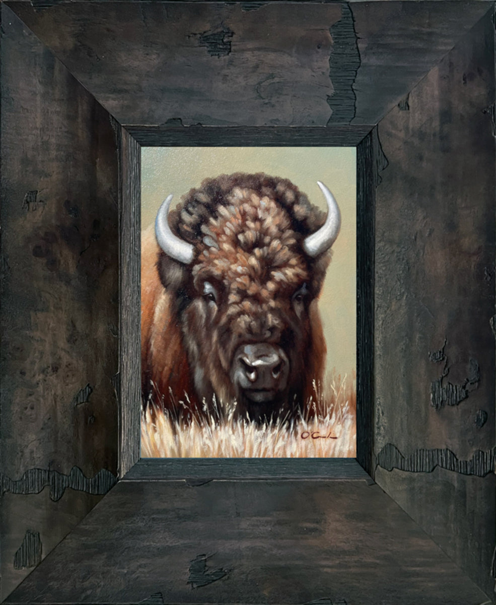 Plains Patriarch