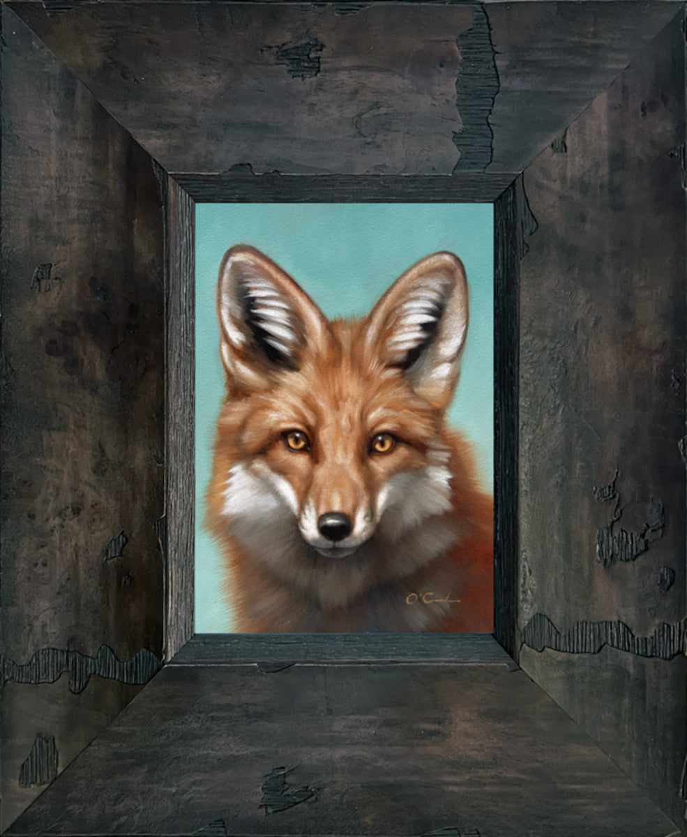 Foxy Flash
