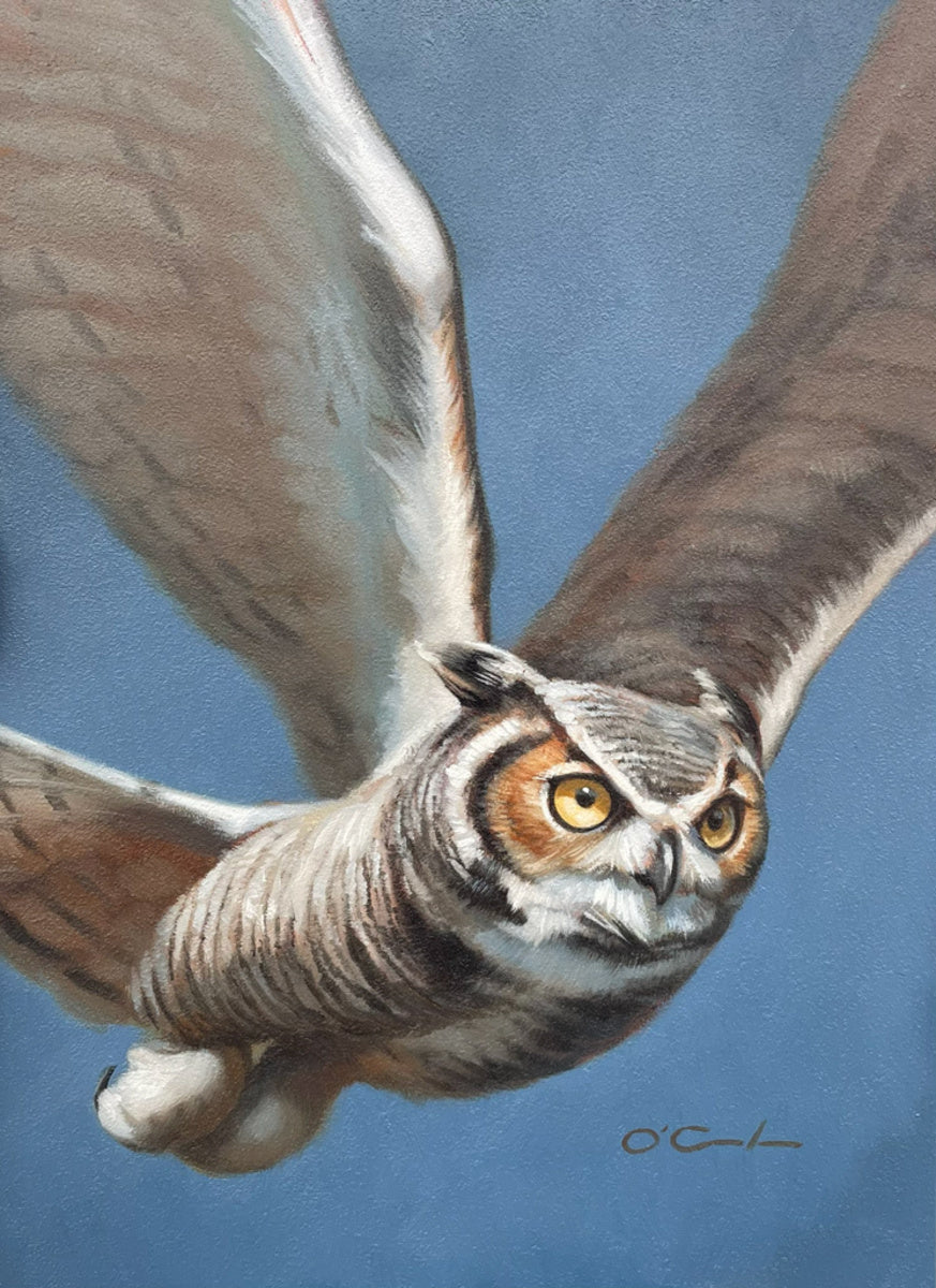 Silent Flight