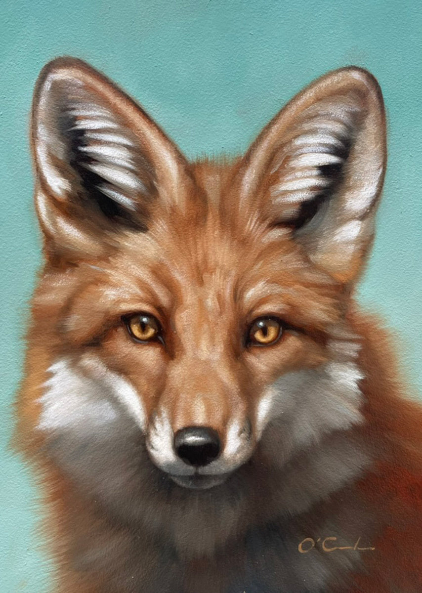 Foxy Flash