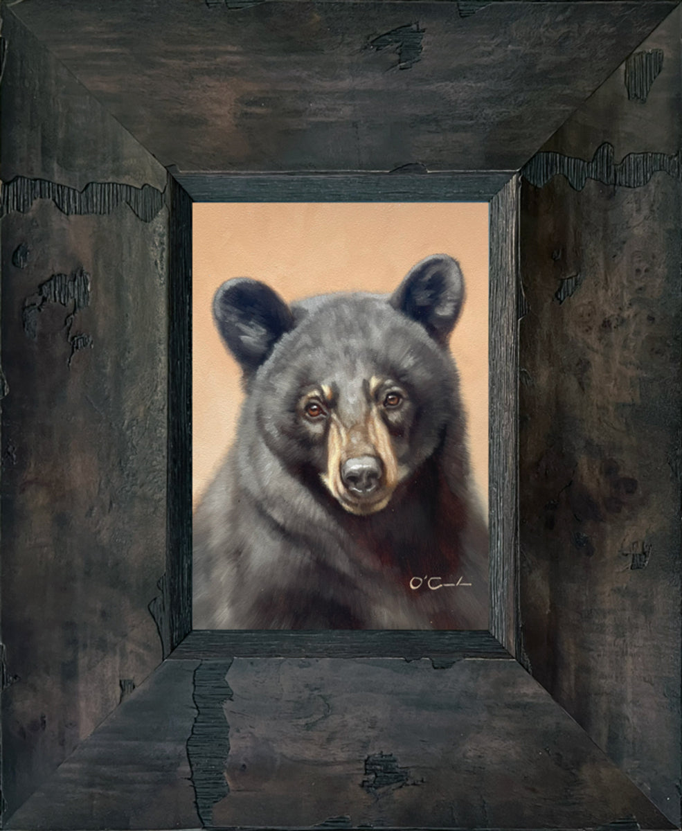 Ursa