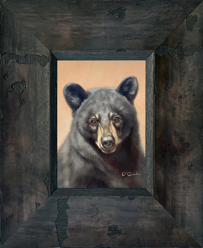 Ursa