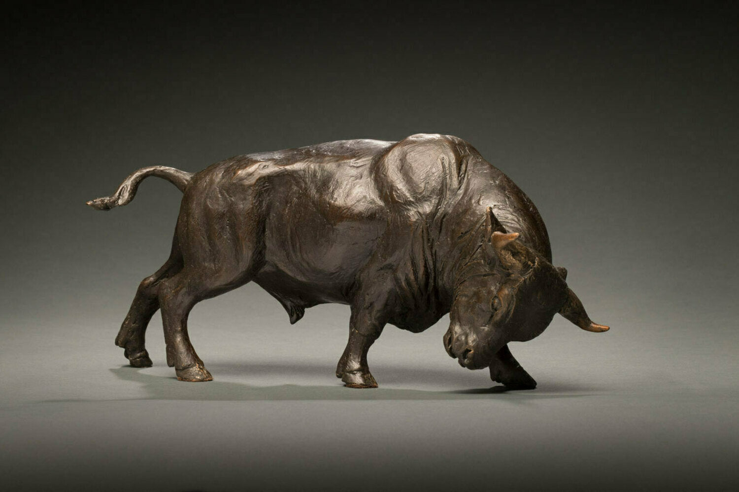 The Bull 18/35