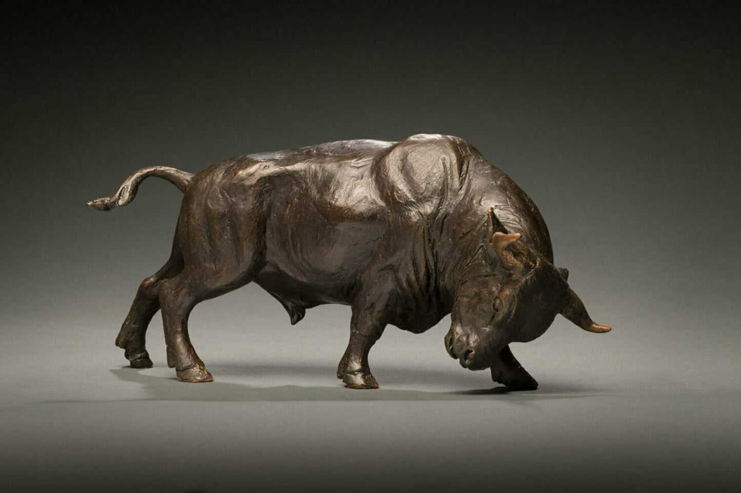 The Bull 18/35