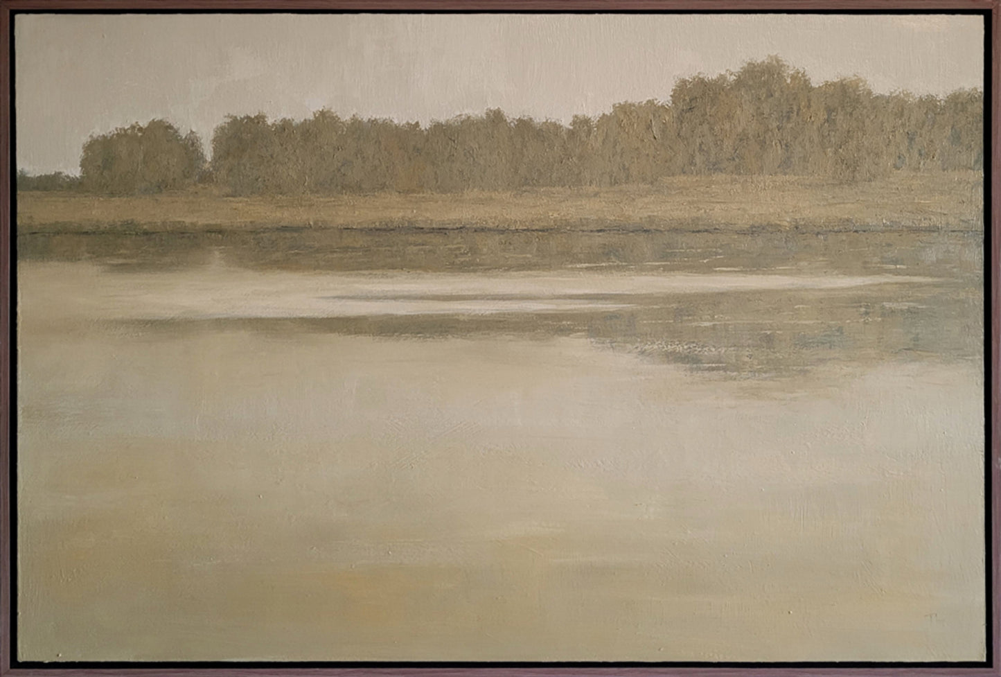 Peaceful Reflection