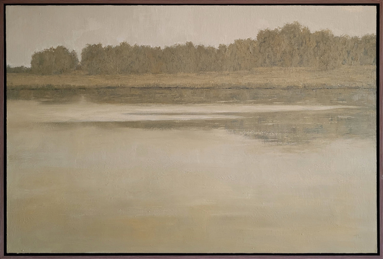 Peaceful Reflection