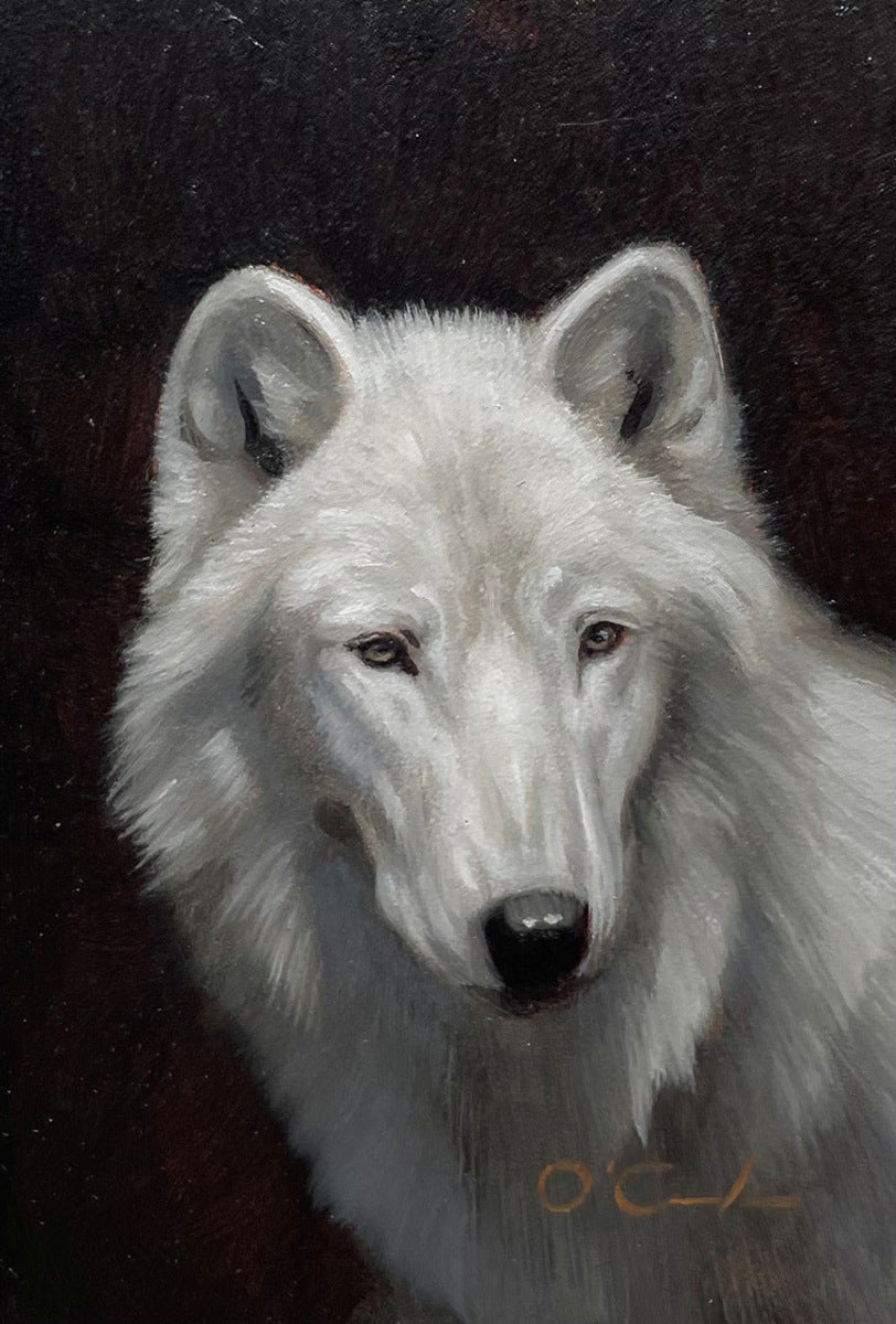White Wolf on Black