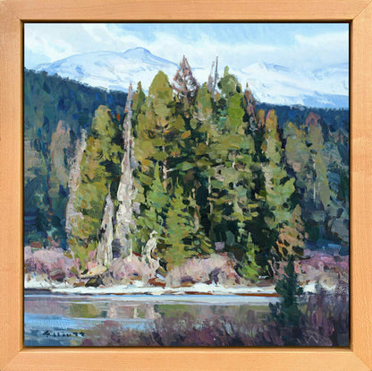 Spring Shorelines