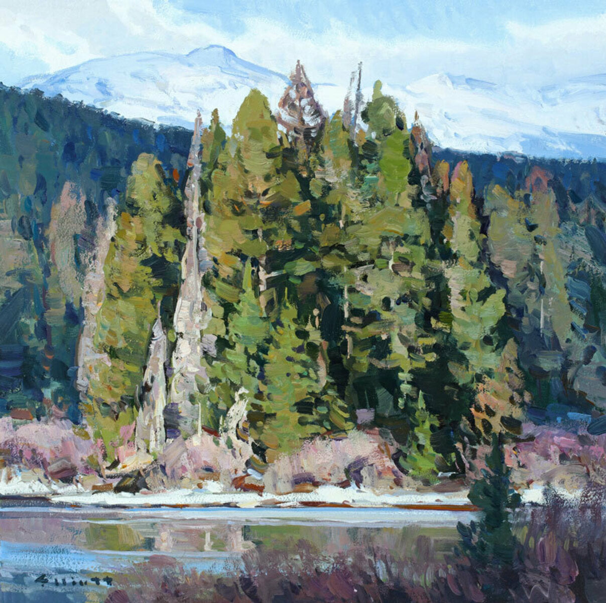 Spring Shorelines