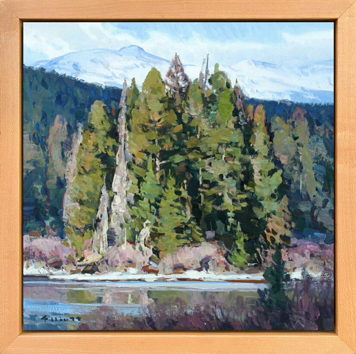 Spring Shorelines