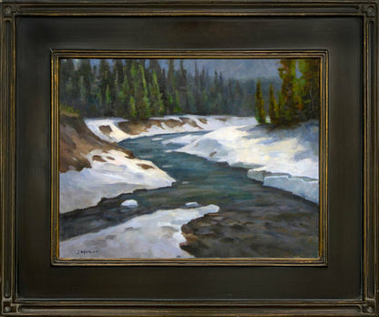 Logan Creek Springtime