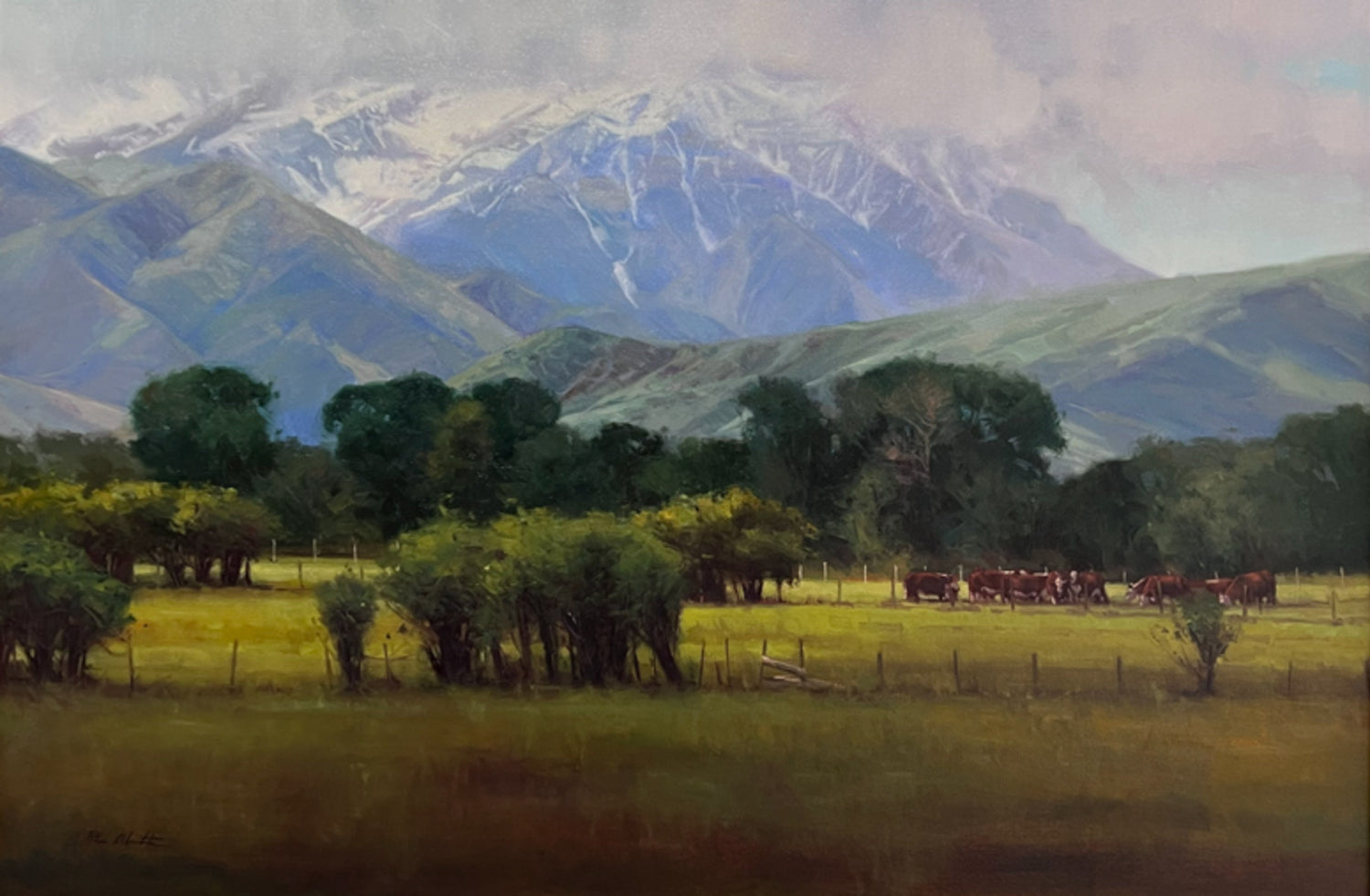 At the Bottom of the Mountains