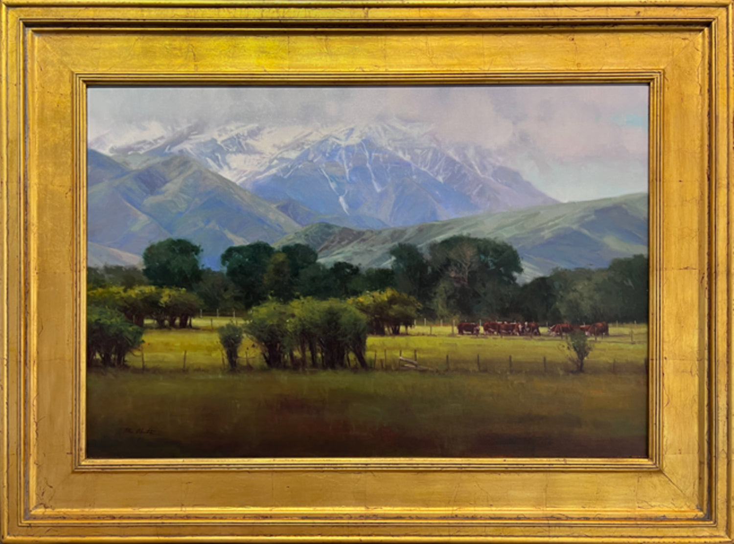 At the Bottom of the Mountains