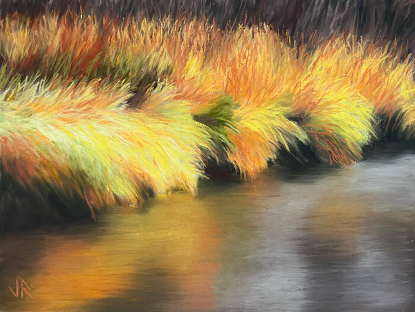 Fall on the Upper Swan