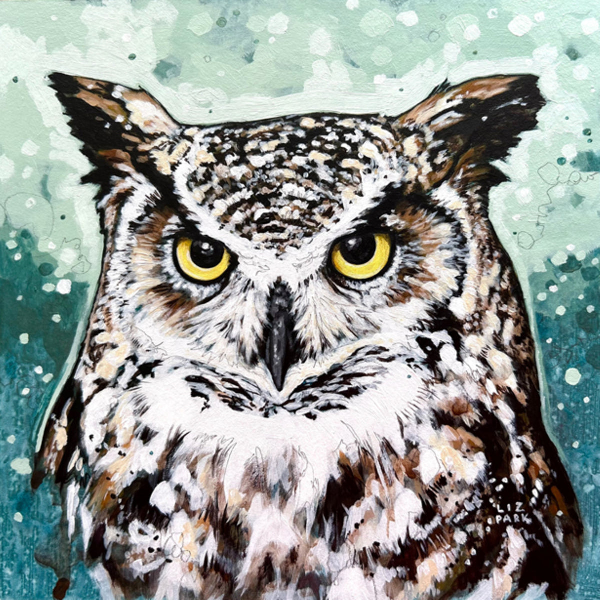 Just a Hoot