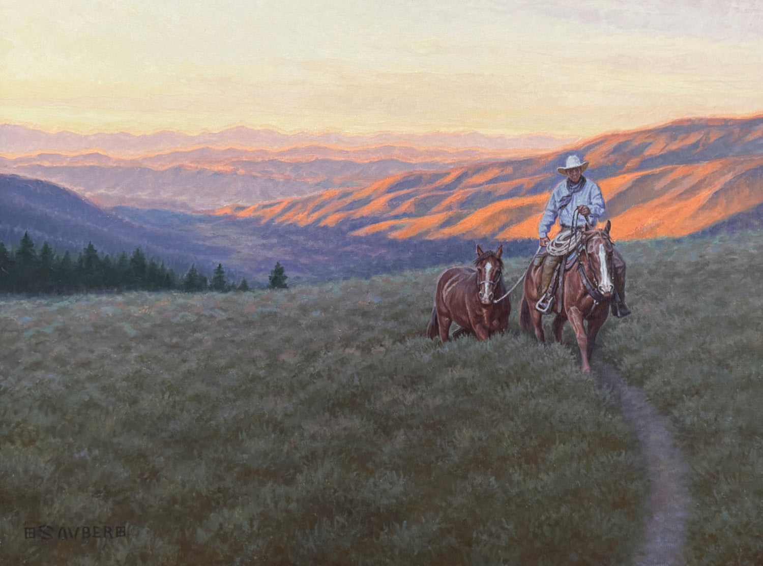 Big Sky Sage