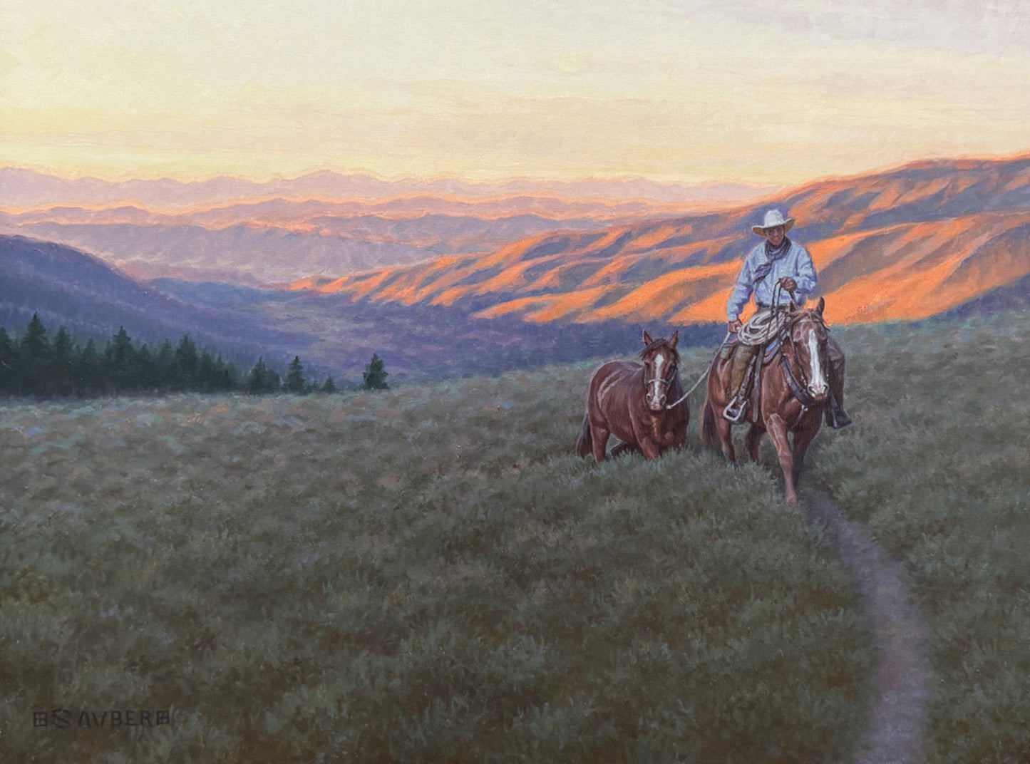 Big Sky Sage