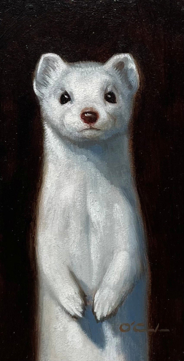 Ermine Bust