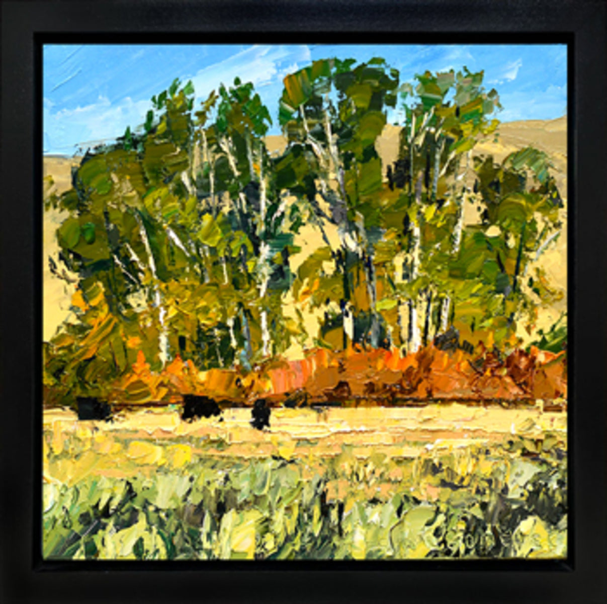 Cottonwood Study