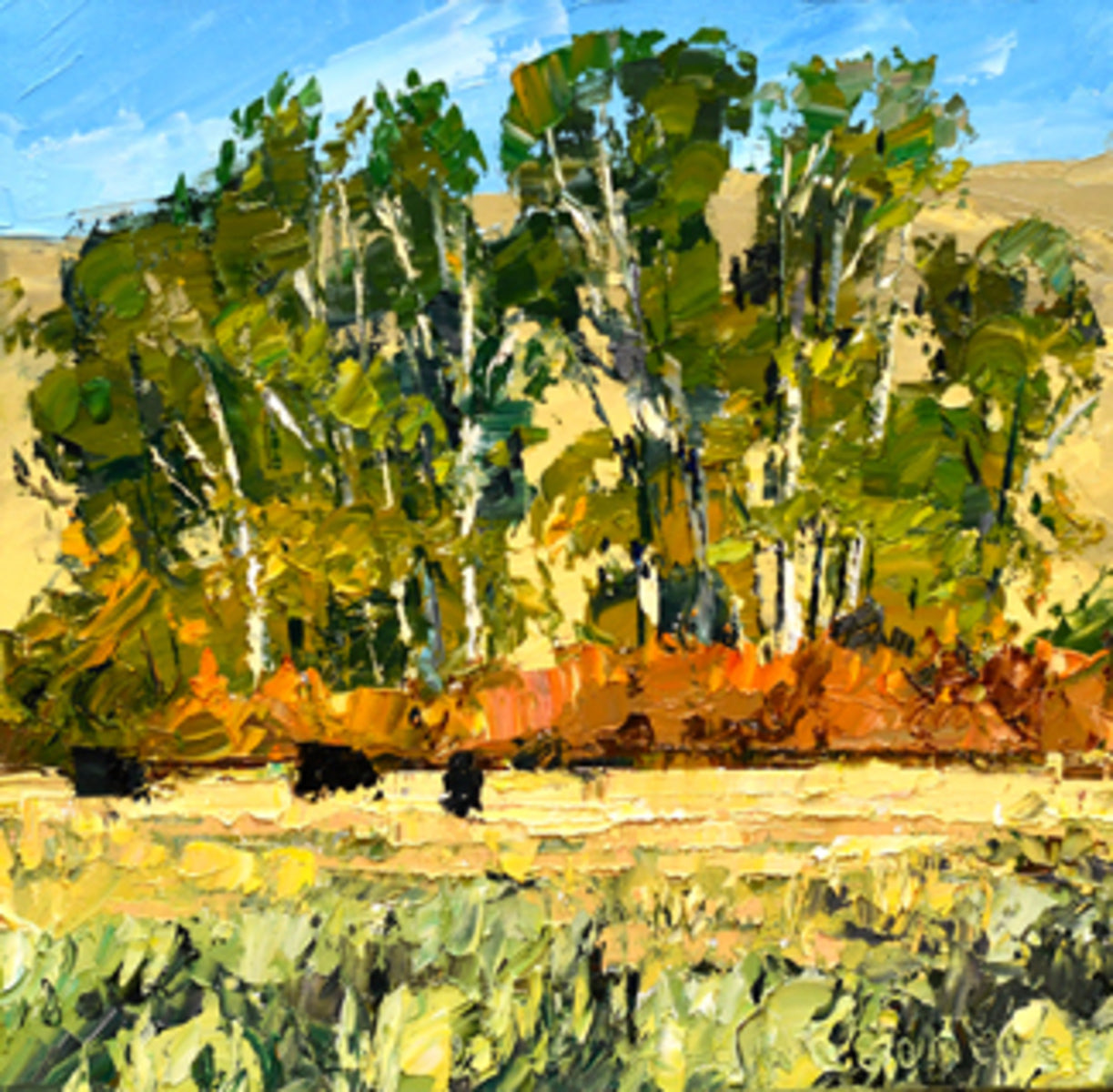 Cottonwood Study