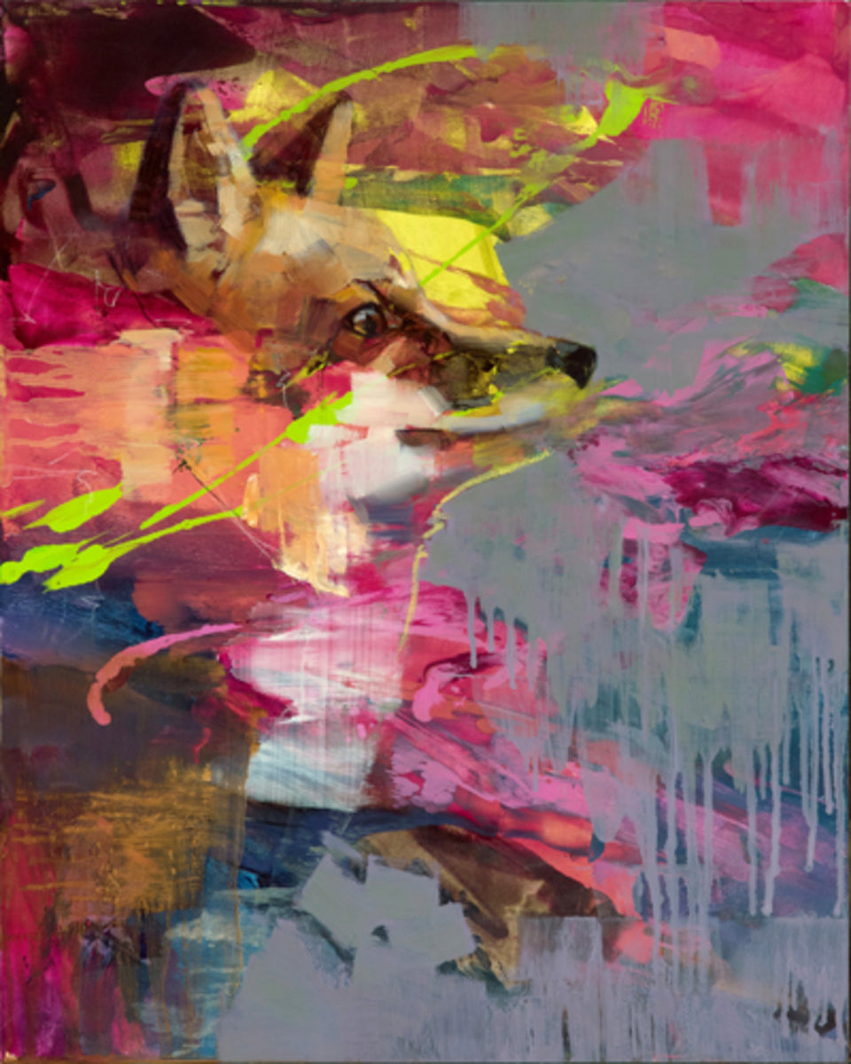 Magenta Vulpes
