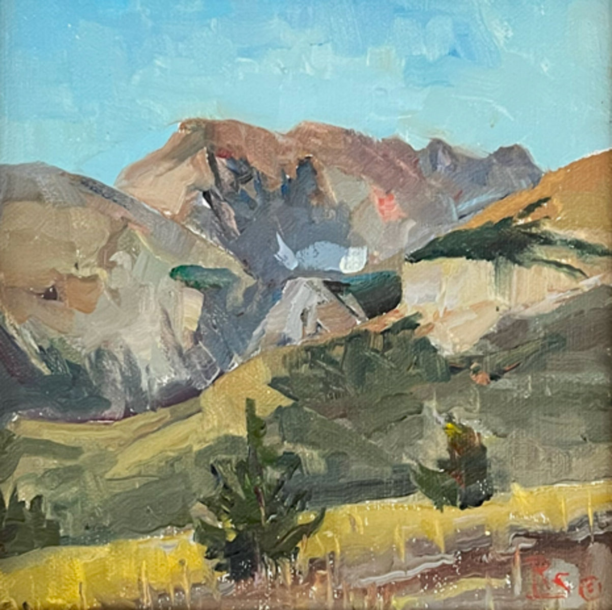 Young Tree, Old Glacier