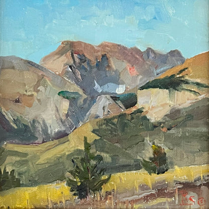 Young Tree, Old Glacier