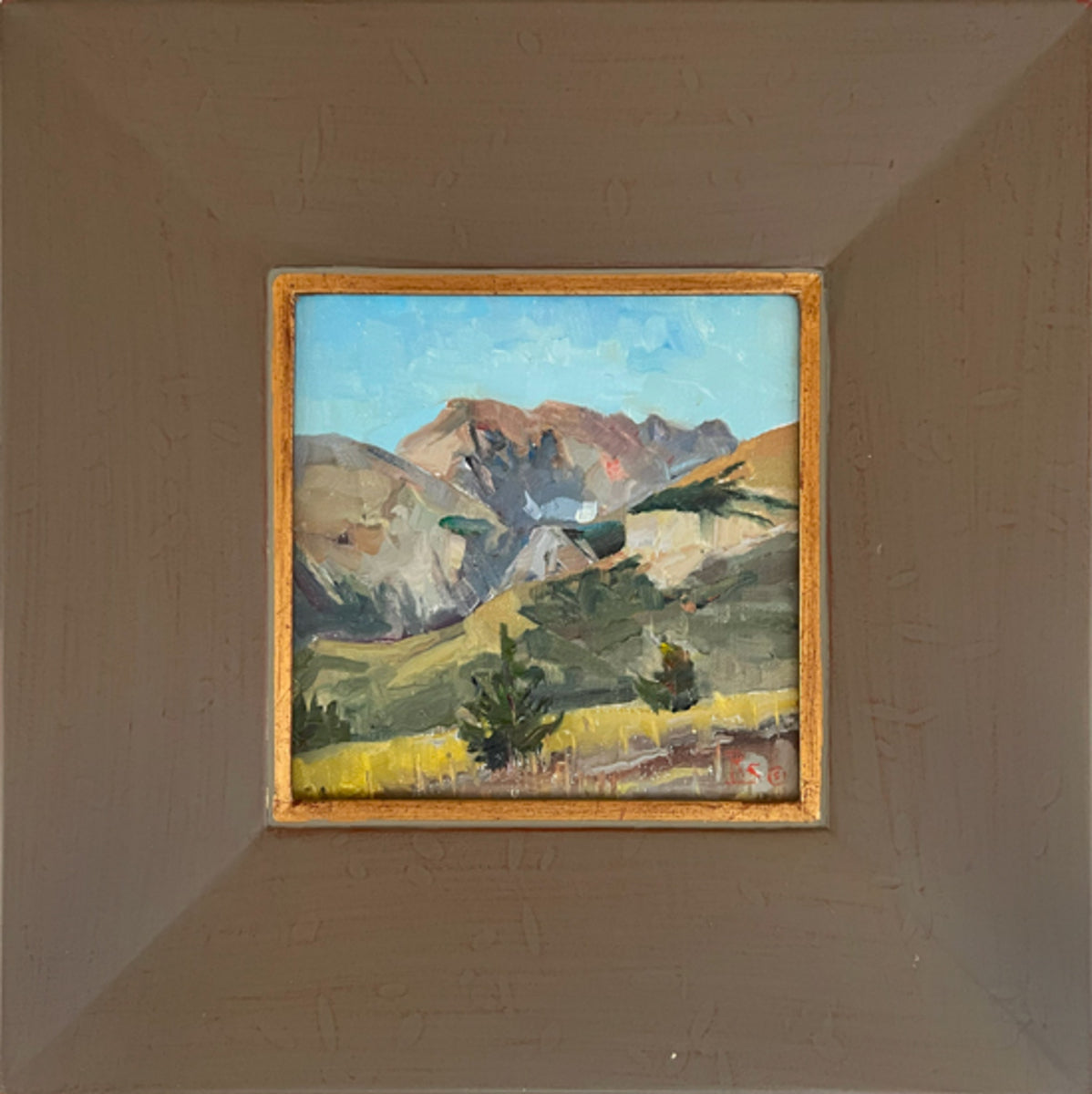 Young Tree, Old Glacier