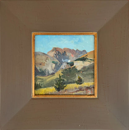 Young Tree, Old Glacier