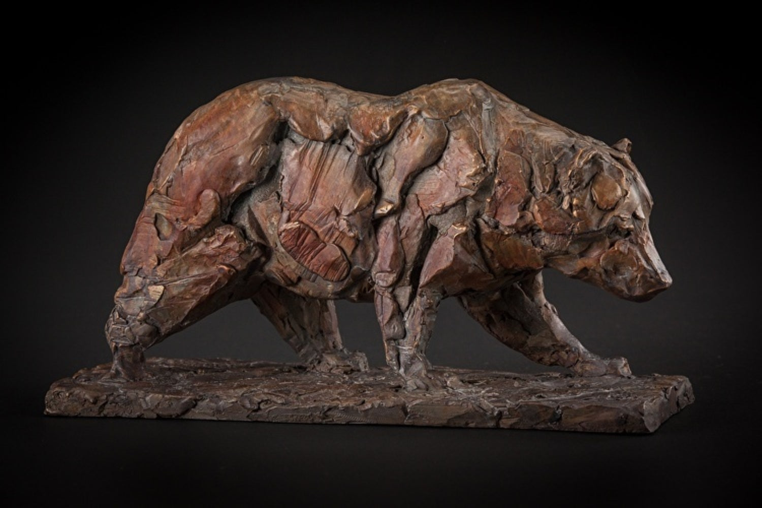 Young Bear Walking 18/35