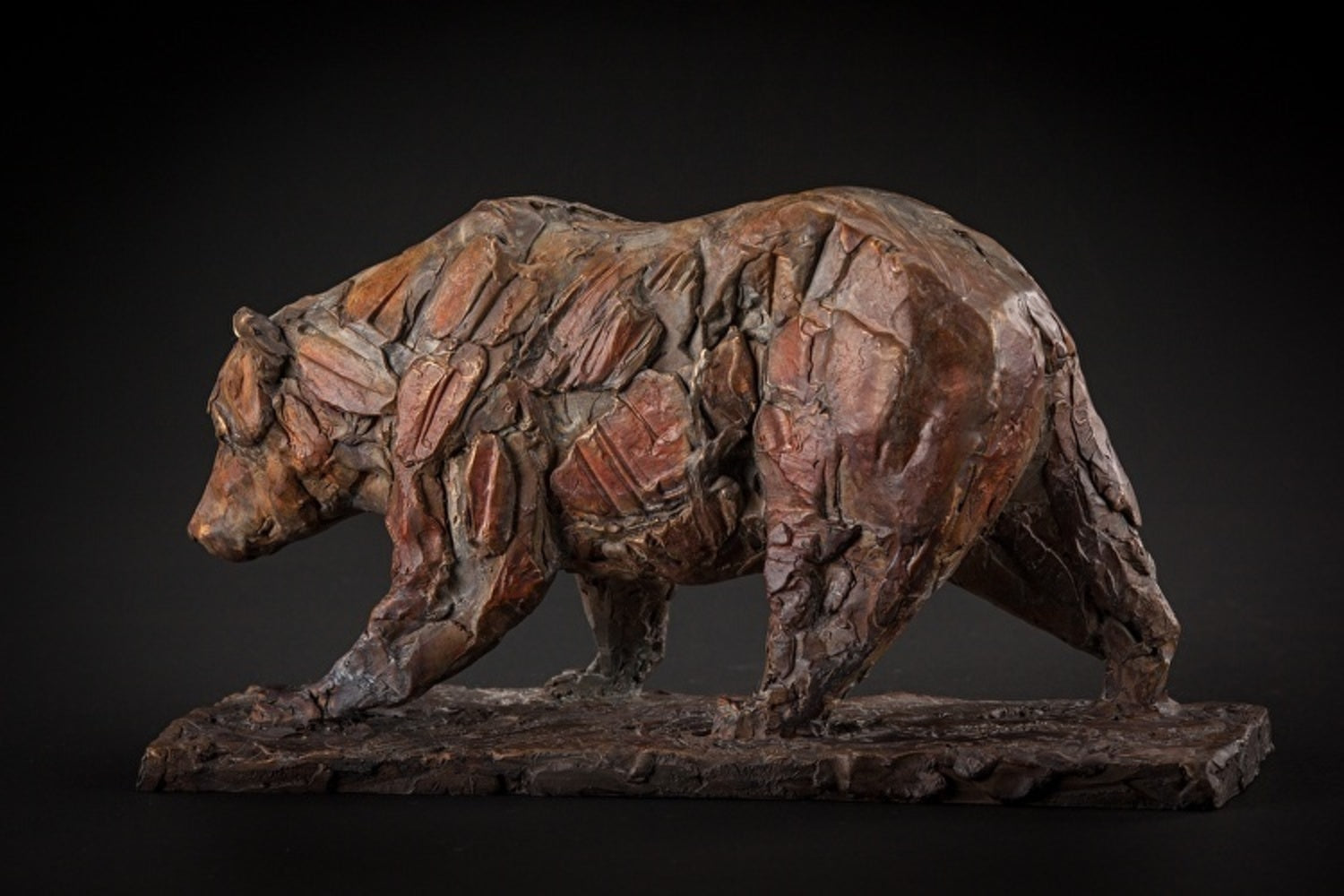 Young Bear Walking (18/35)