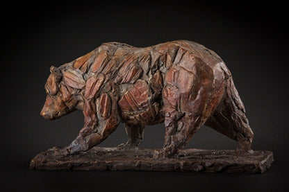 Young Bear Walking (18/35)