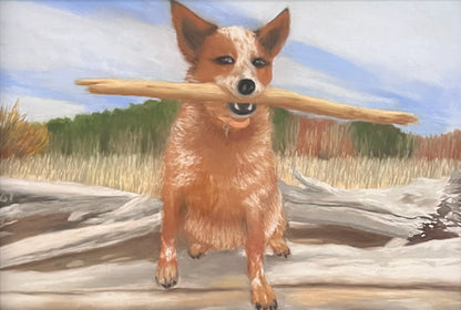 The Perfect Stick