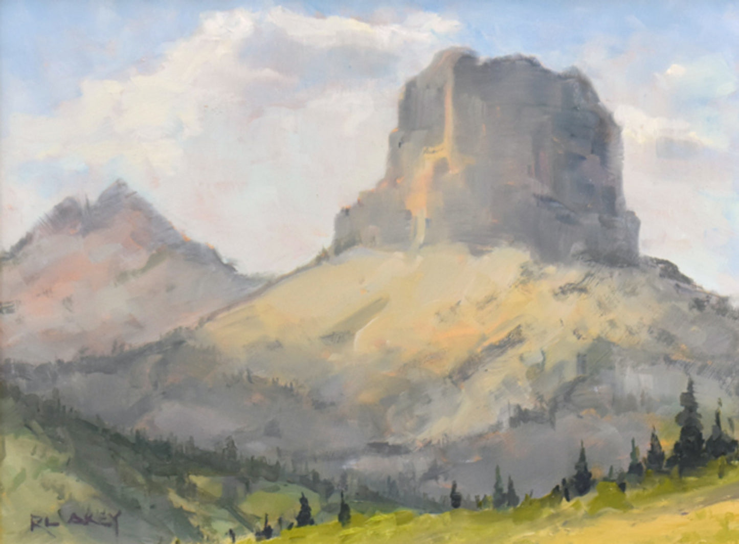 Portrait of the Chief