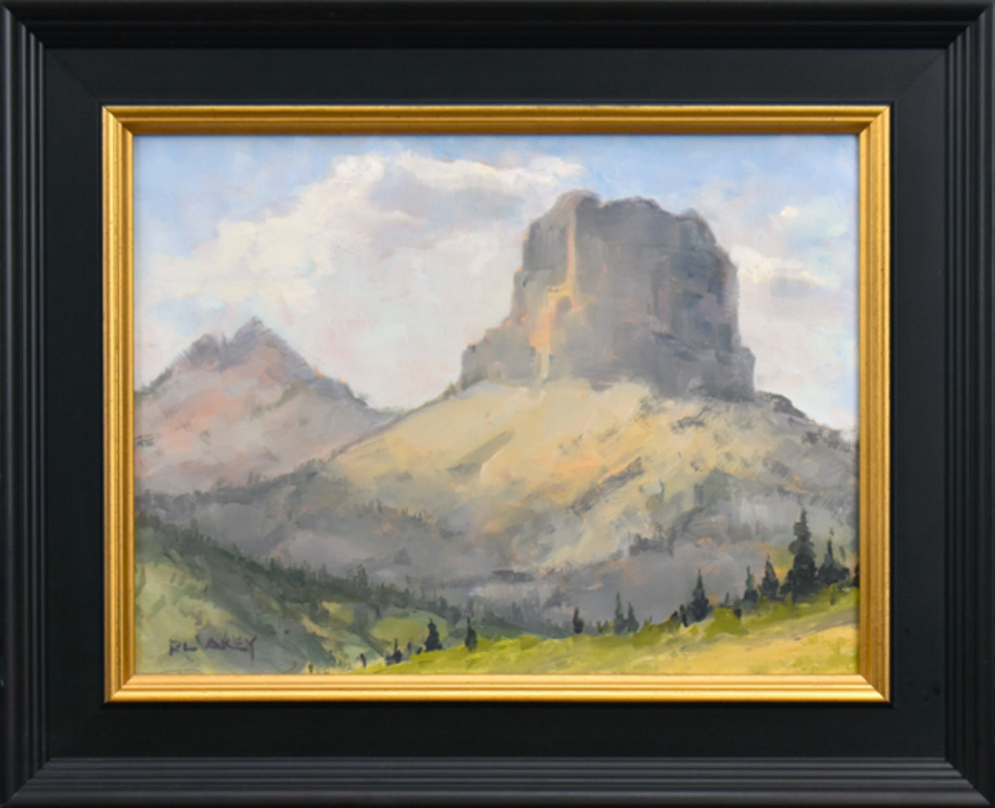 Portrait of the Chief