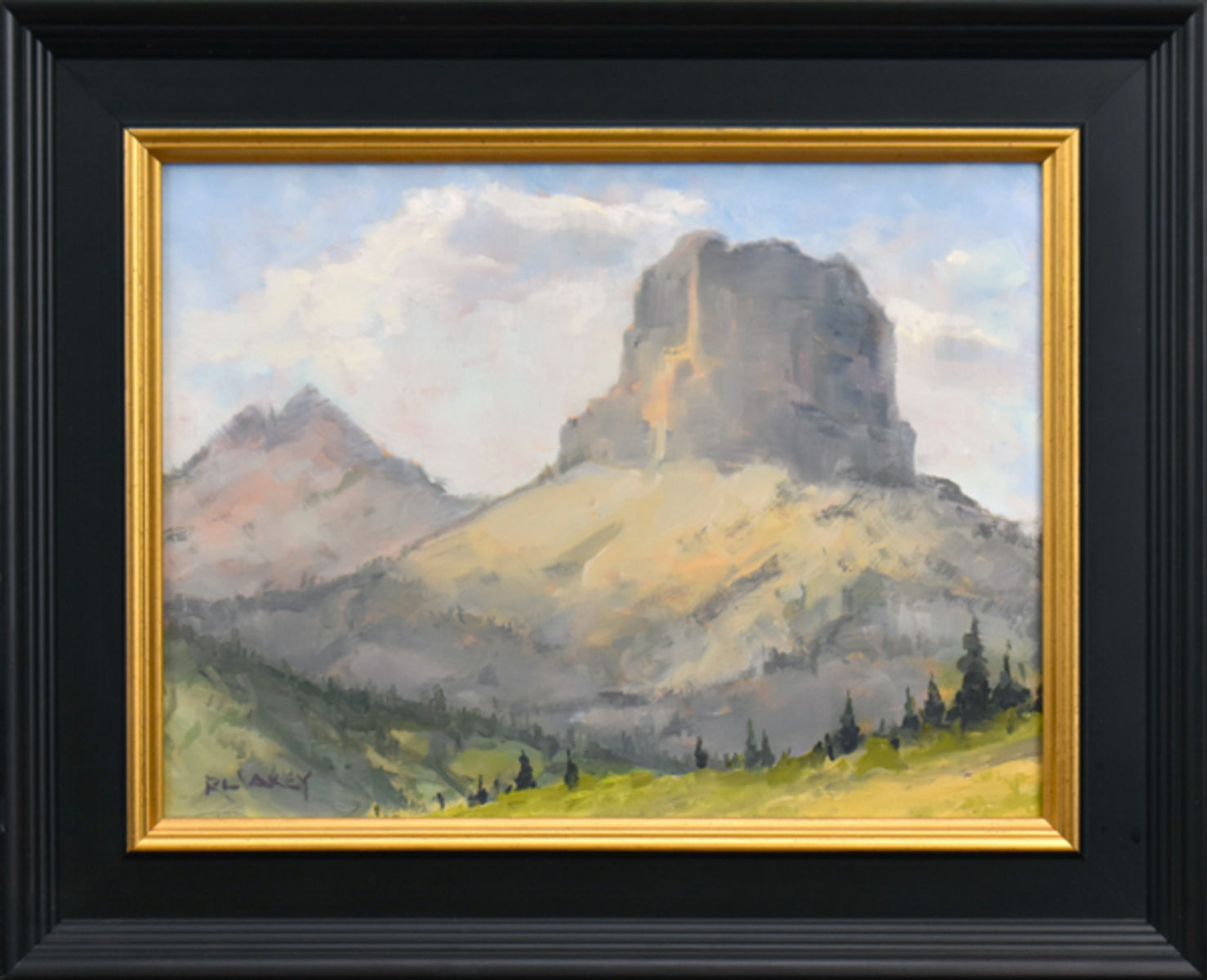 Portrait of the Chief