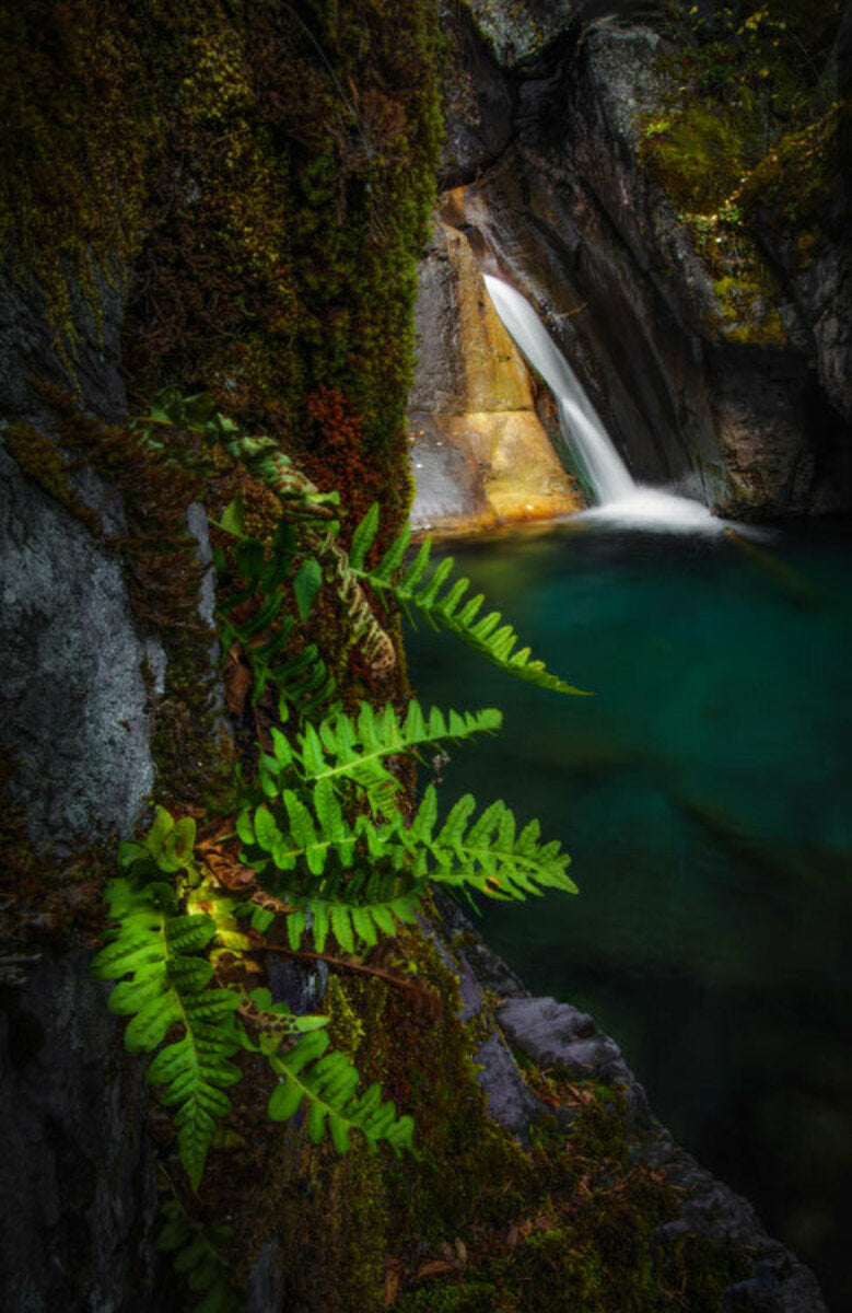 Spring Splash #2