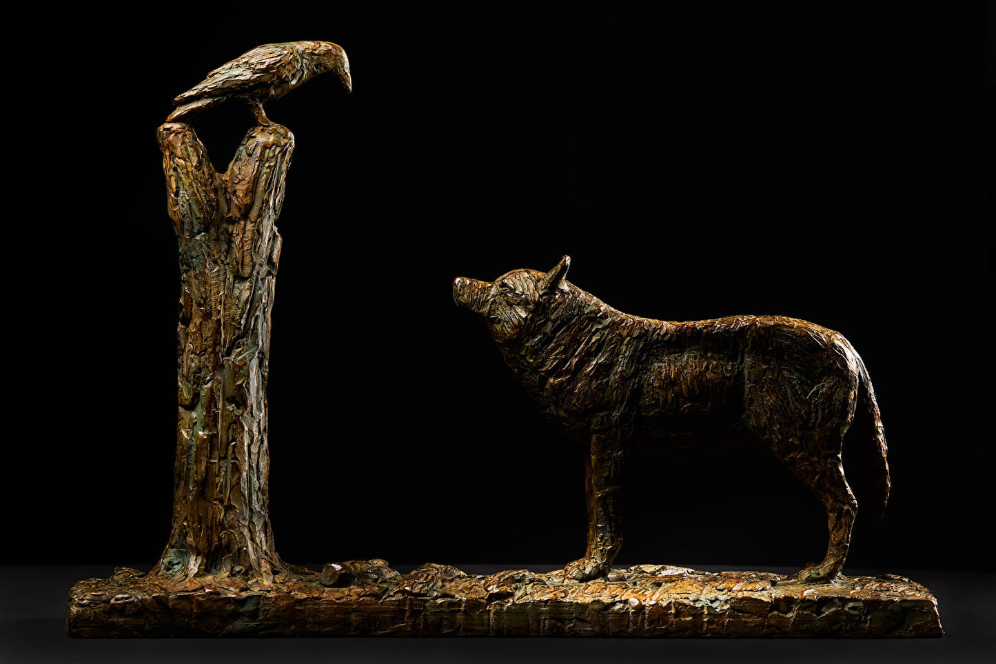 The Wolf and Raven 8/25