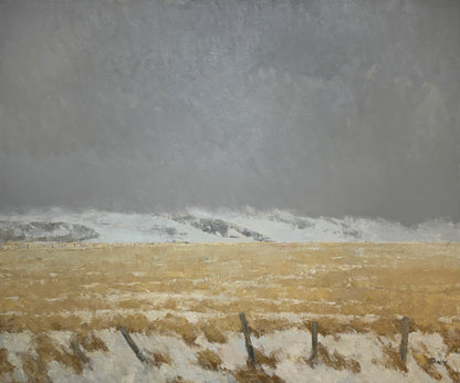 Winter Field Outside Moccasin