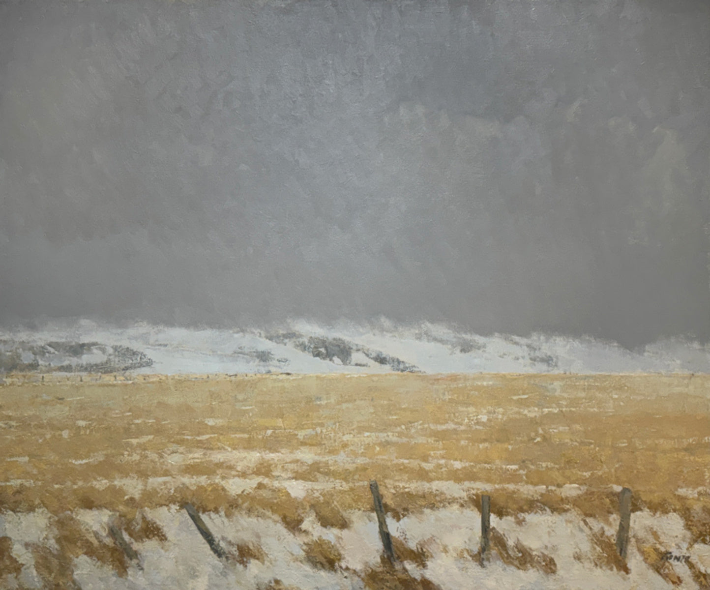 Winter Field Outside Moccasin