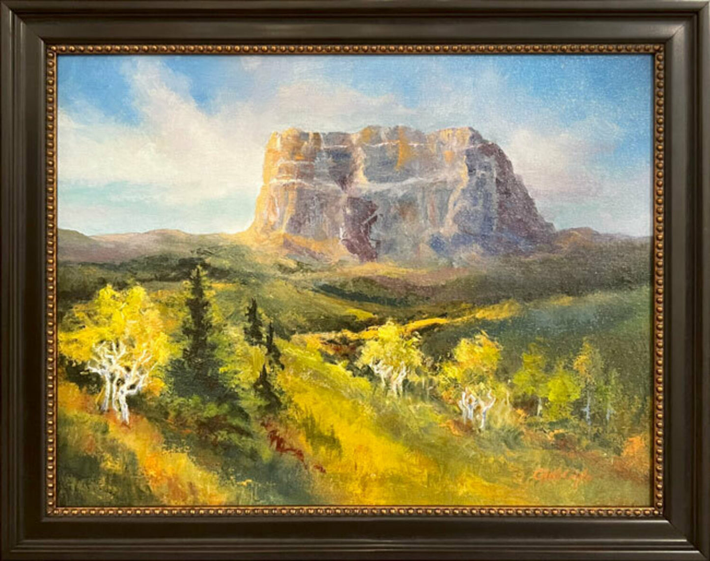 Great Chief "Ninaiistako"