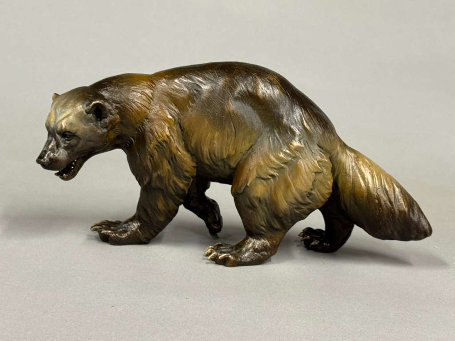 Wolverine Crossing 1/20