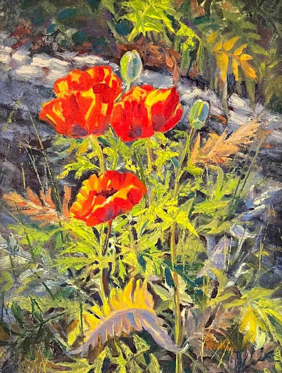 Sunlight on Poppies