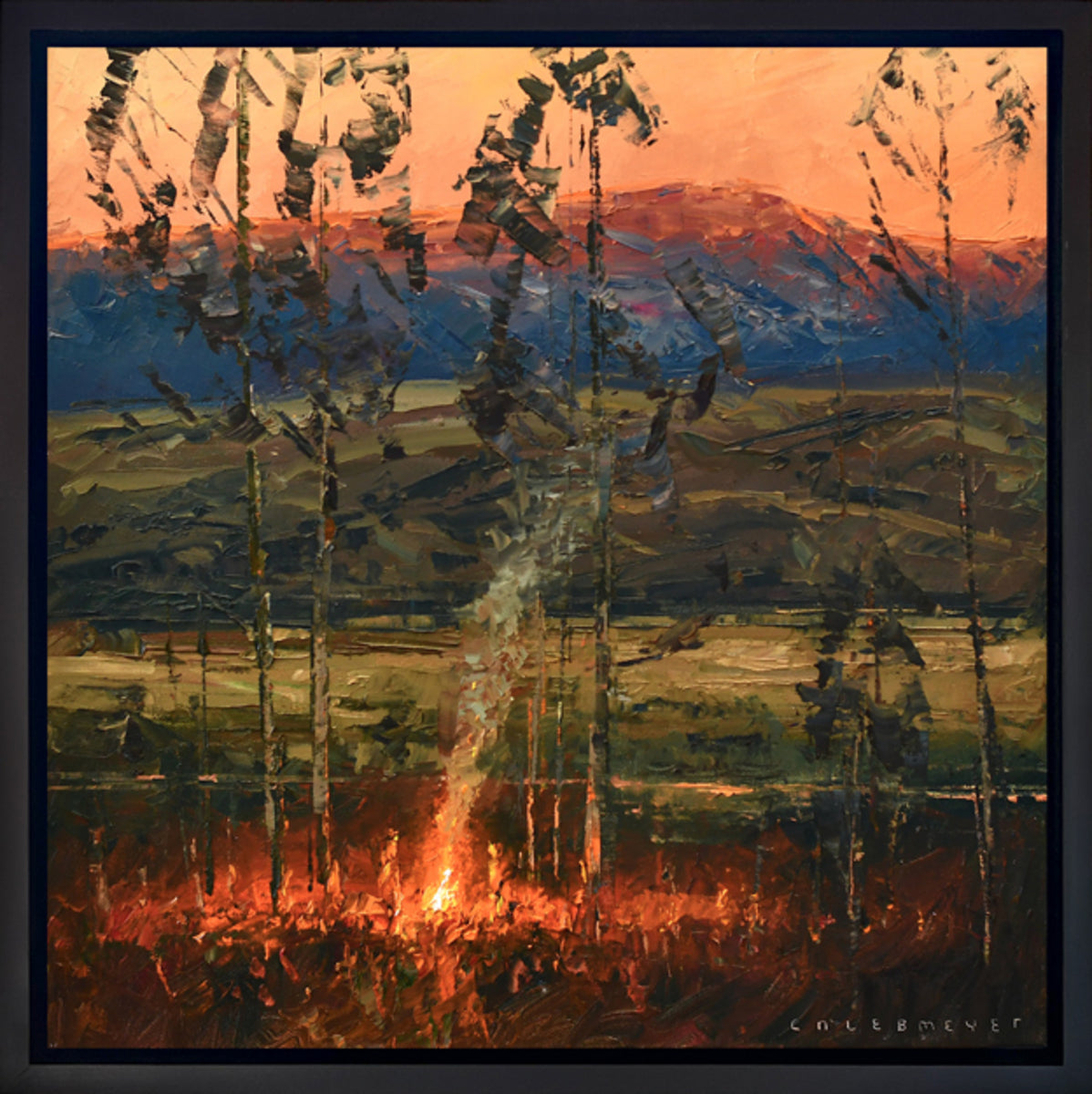 Orange Evening