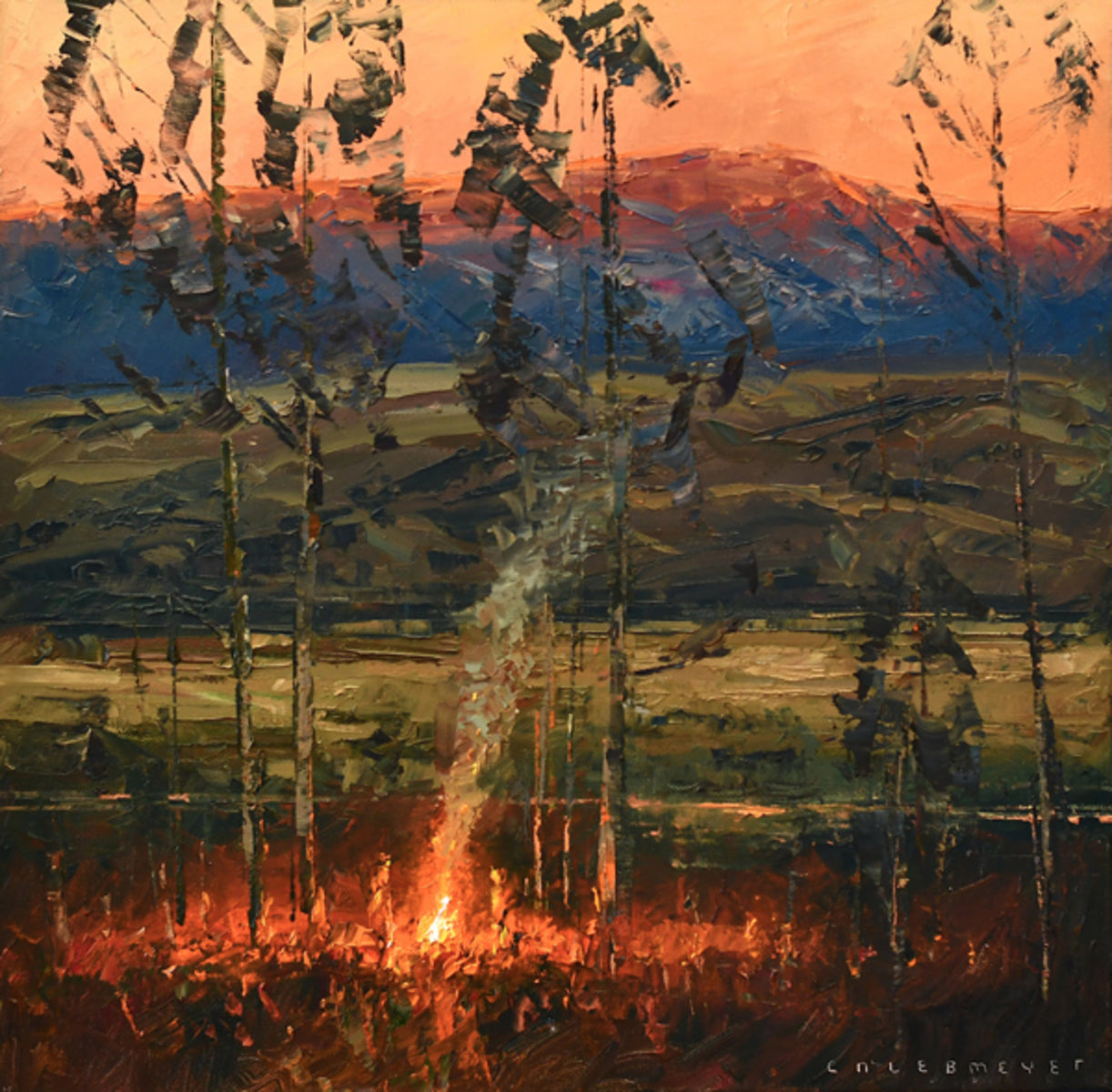 Orange Evening