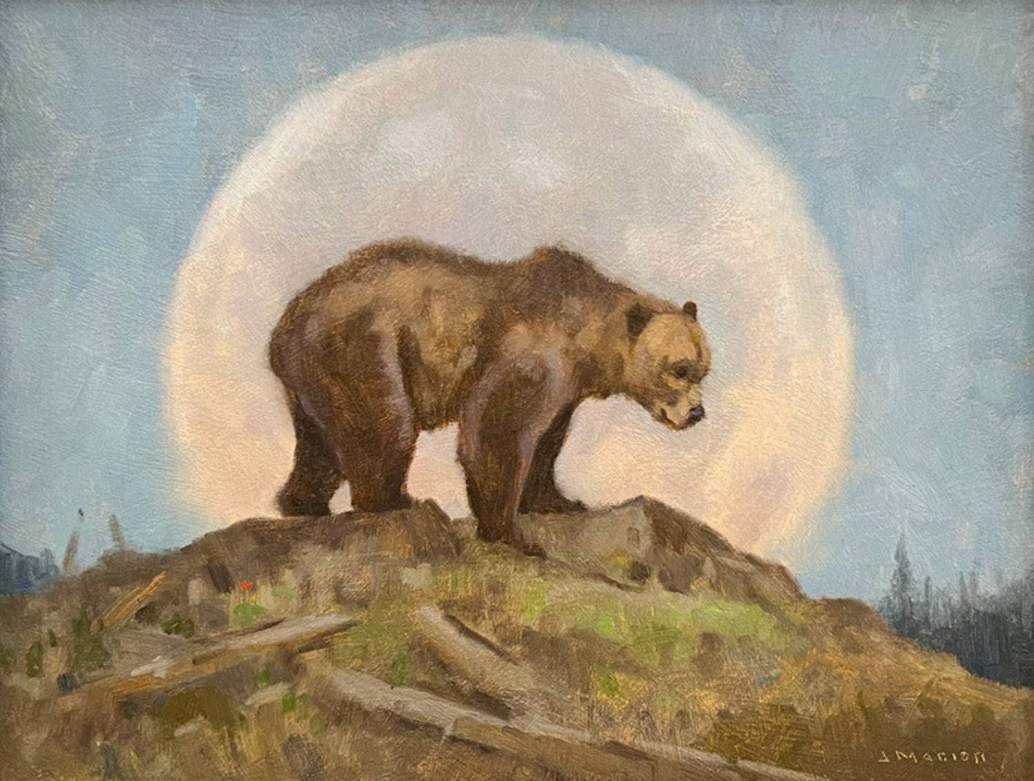 Bear de Lune