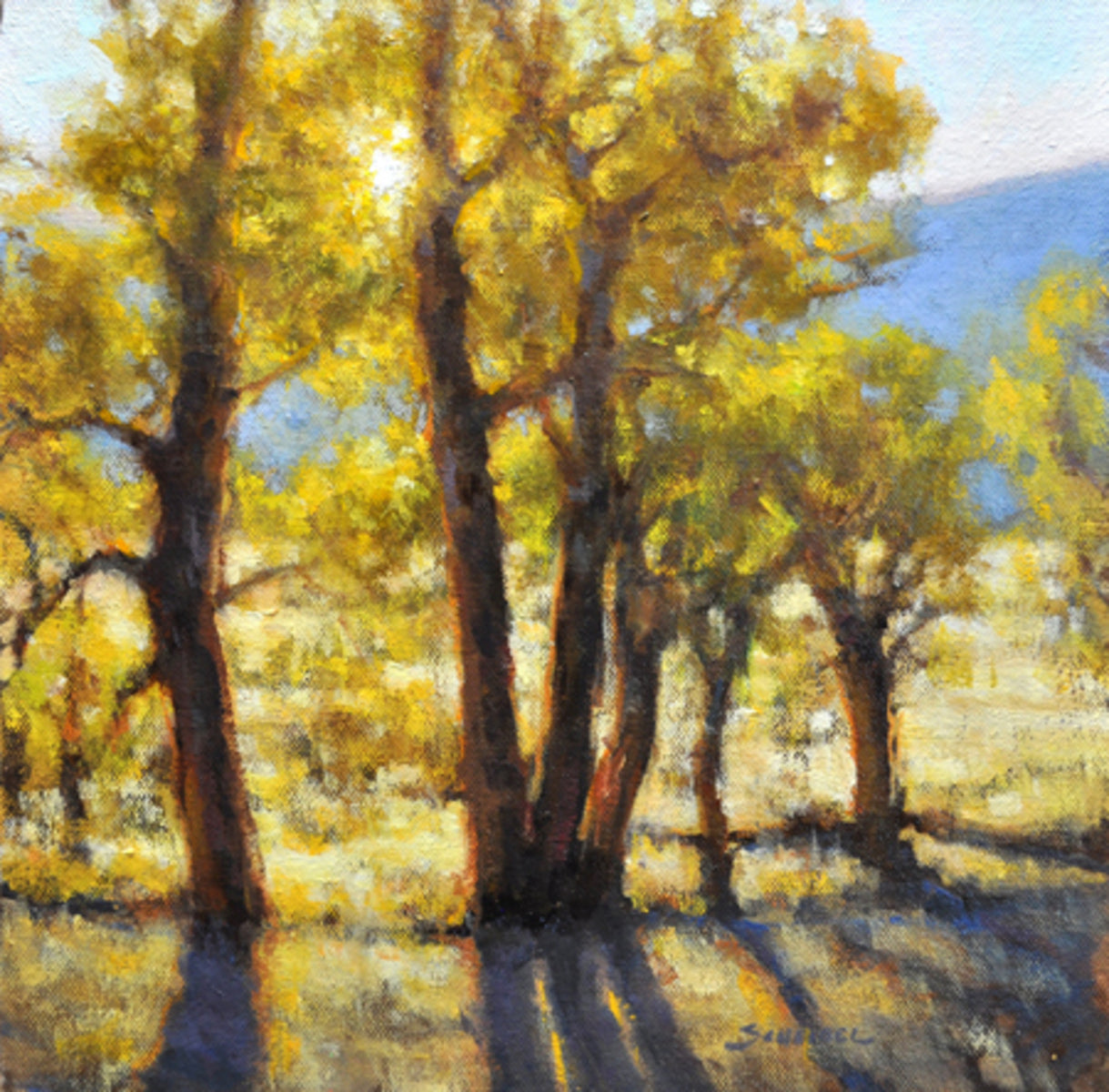 Cottonwood Sunset
