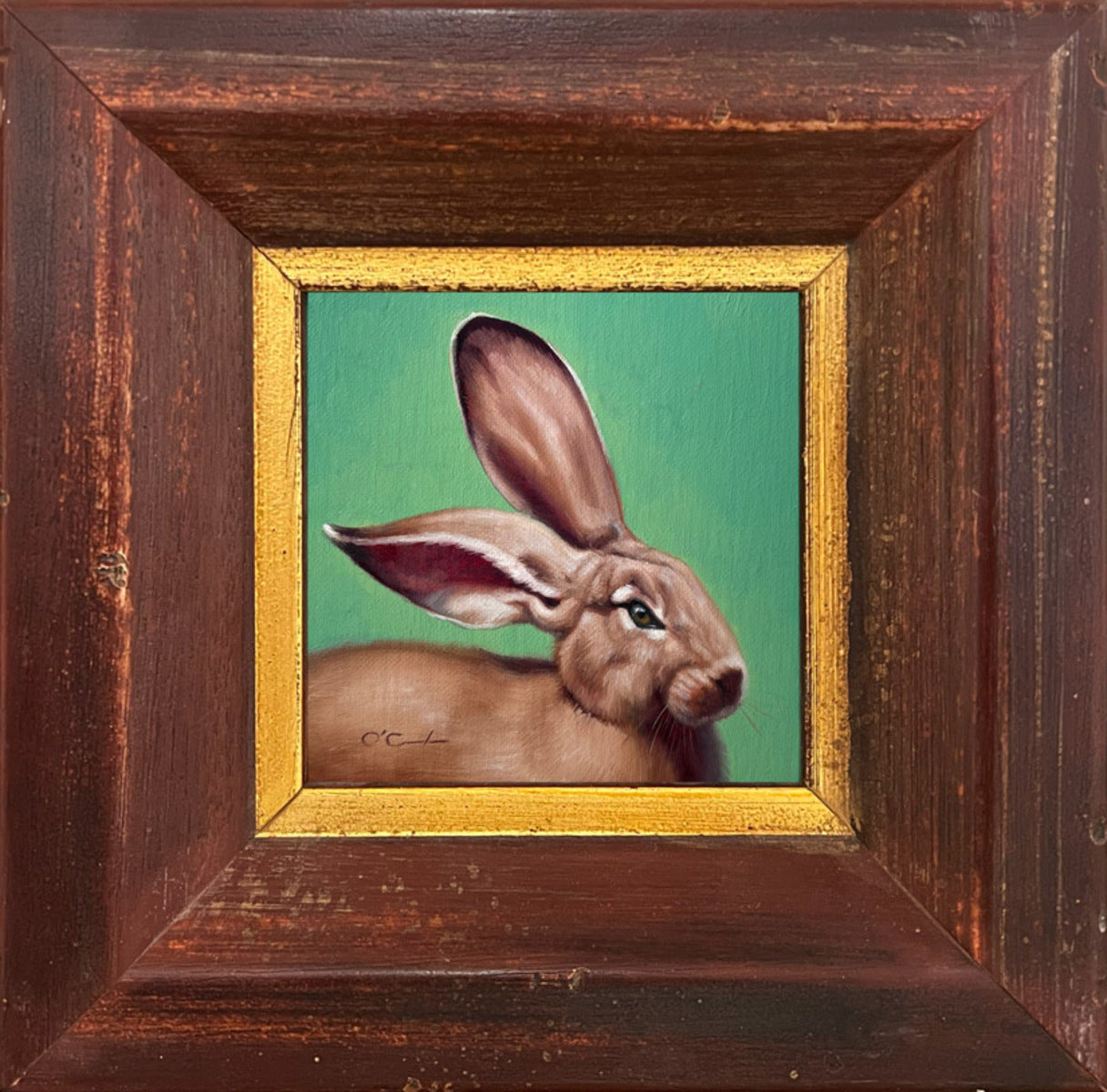 Flopsy