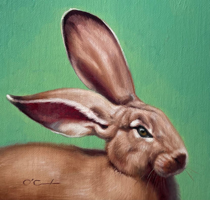 Flopsy